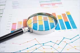 Market Research & Development